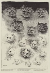 Skizzen der Katzenausstellung im Crystal Palace